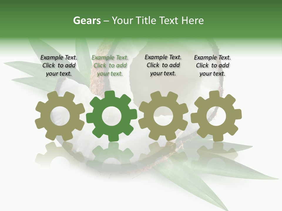 Nut Exotic Picture PowerPoint Template