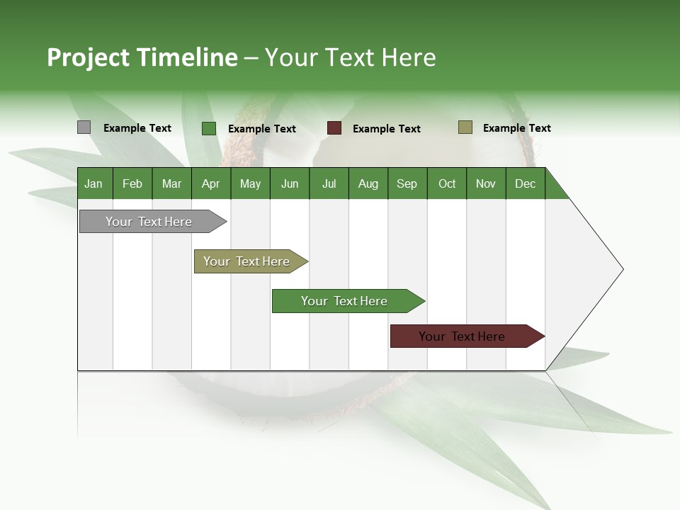 Nut Exotic Picture PowerPoint Template