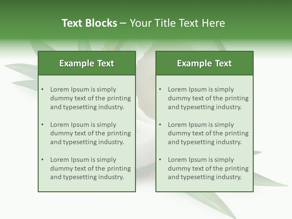 Nut Exotic Picture PowerPoint Template