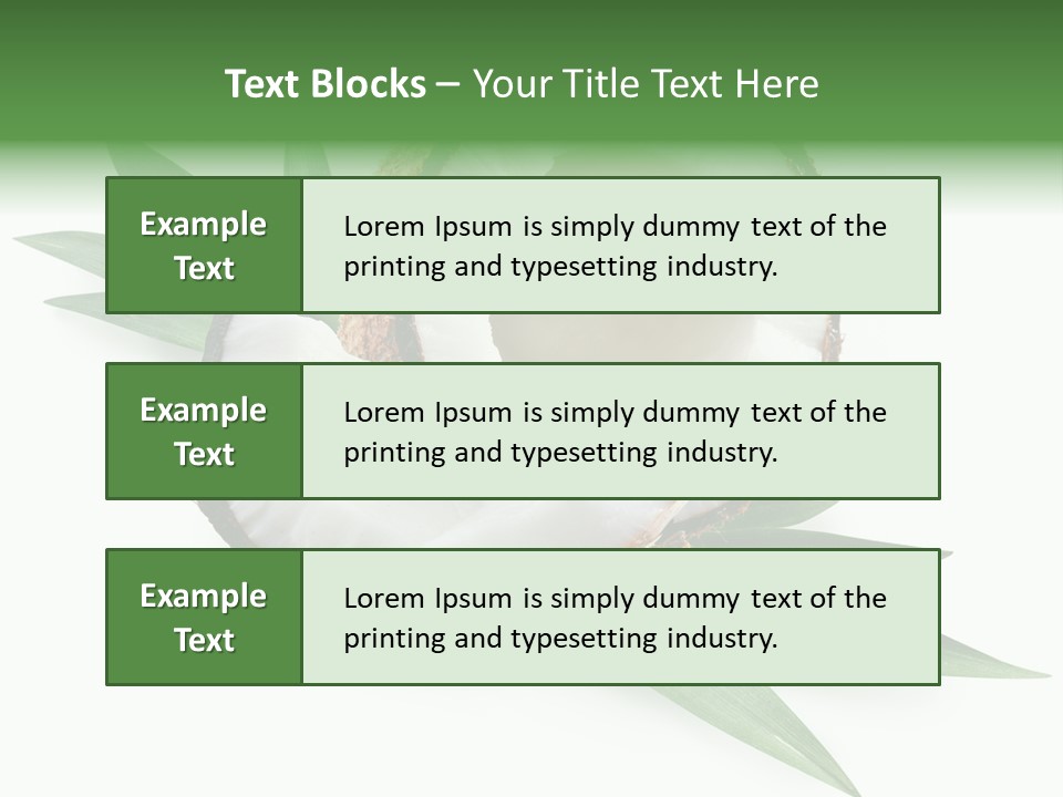 Nut Exotic Picture PowerPoint Template