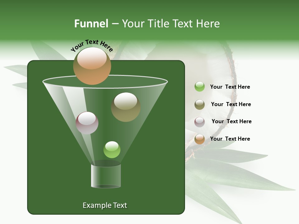 Nut Exotic Picture PowerPoint Template