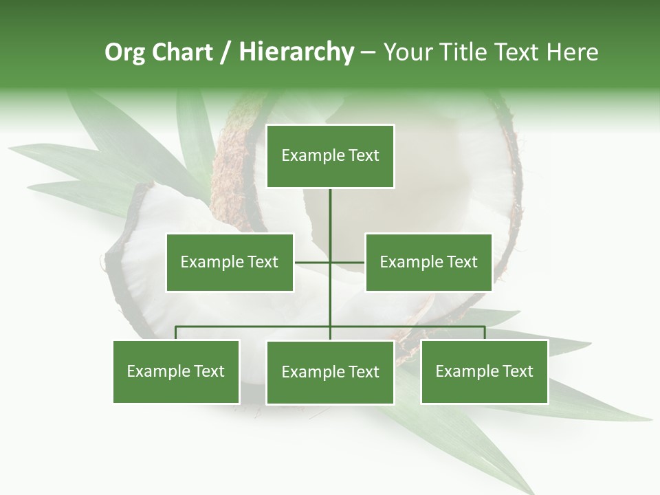 Nut Exotic Picture PowerPoint Template