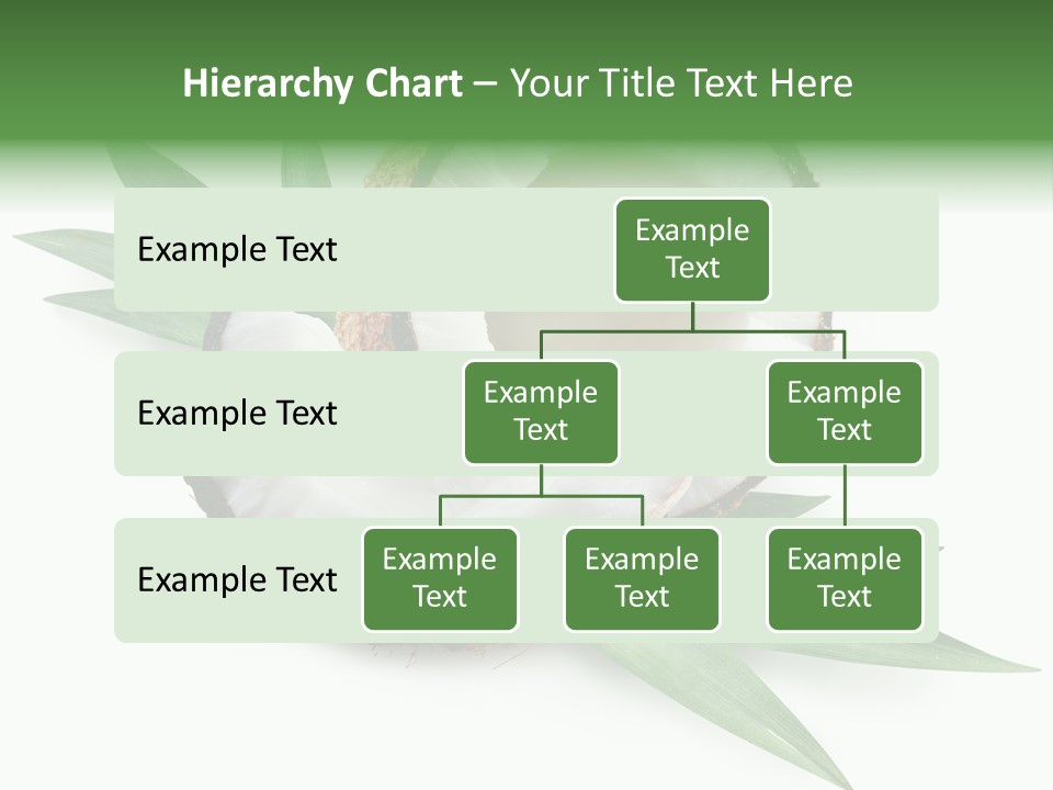 Nut Exotic Picture PowerPoint Template