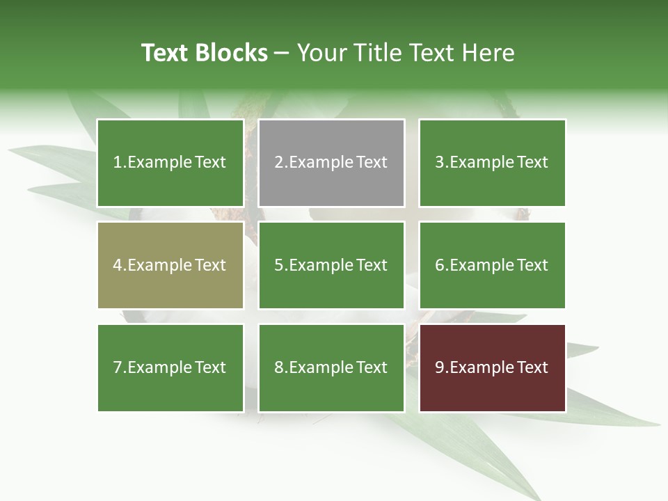 Nut Exotic Picture PowerPoint Template