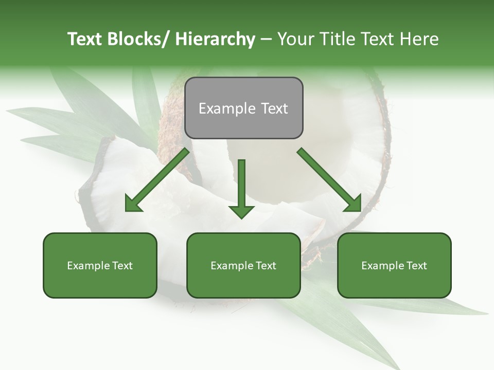 Nut Exotic Picture PowerPoint Template