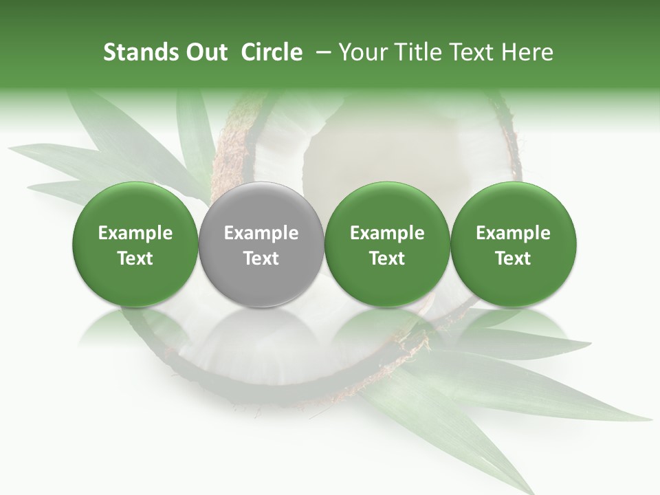 Nut Exotic Picture PowerPoint Template