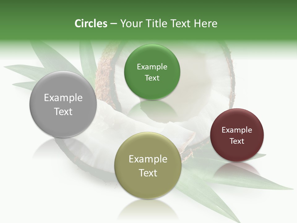 Nut Exotic Picture PowerPoint Template