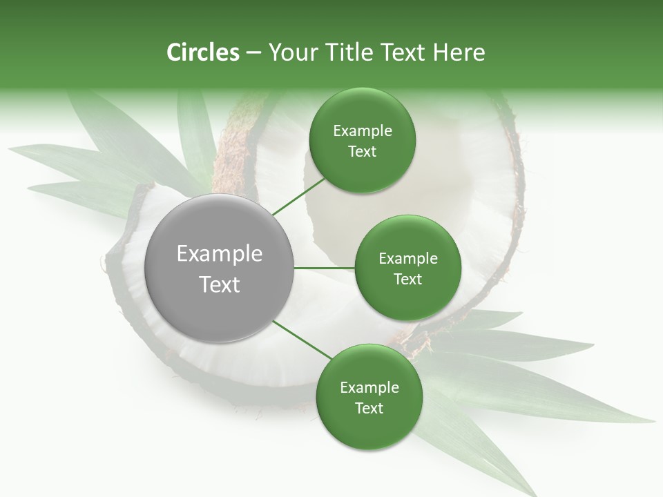 Nut Exotic Picture PowerPoint Template