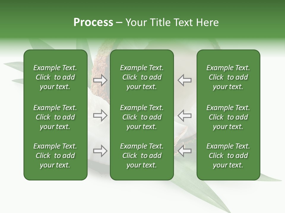 Nut Exotic Picture PowerPoint Template