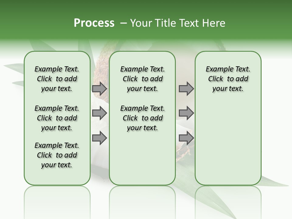 Nut Exotic Picture PowerPoint Template