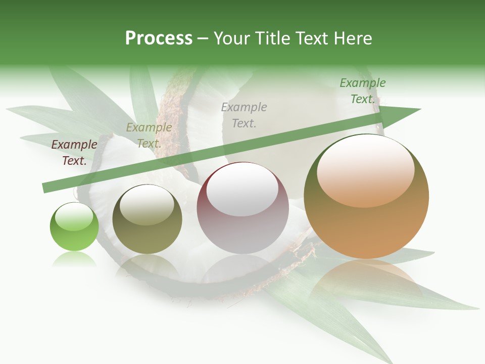 Nut Exotic Picture PowerPoint Template