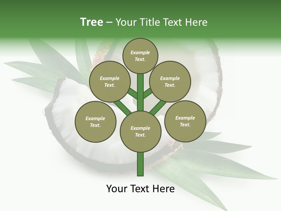 Nut Exotic Picture PowerPoint Template