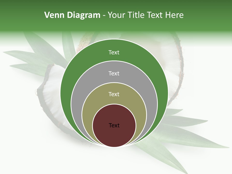 Nut Exotic Picture PowerPoint Template