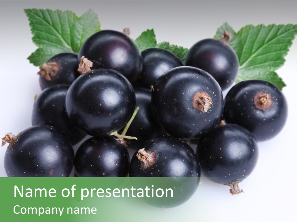 White Berry Food PowerPoint Template