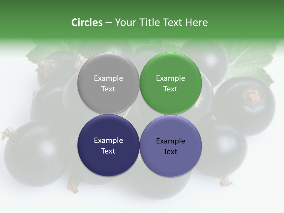 White Berry Food PowerPoint Template