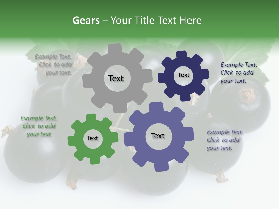 White Berry Food PowerPoint Template