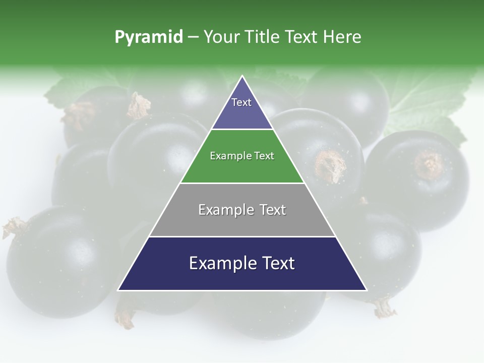 White Berry Food PowerPoint Template