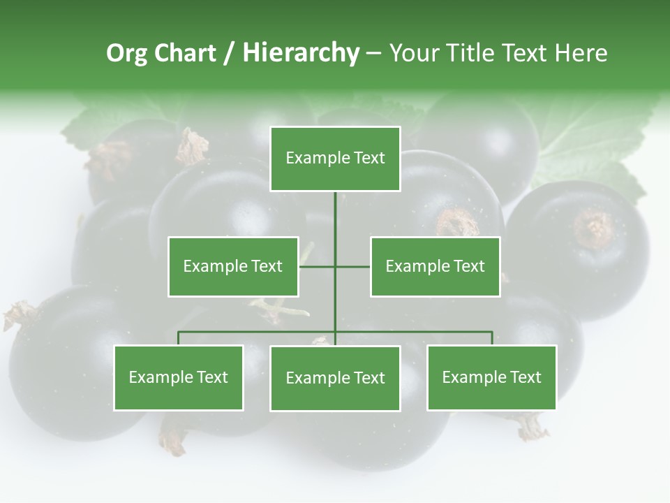 White Berry Food PowerPoint Template