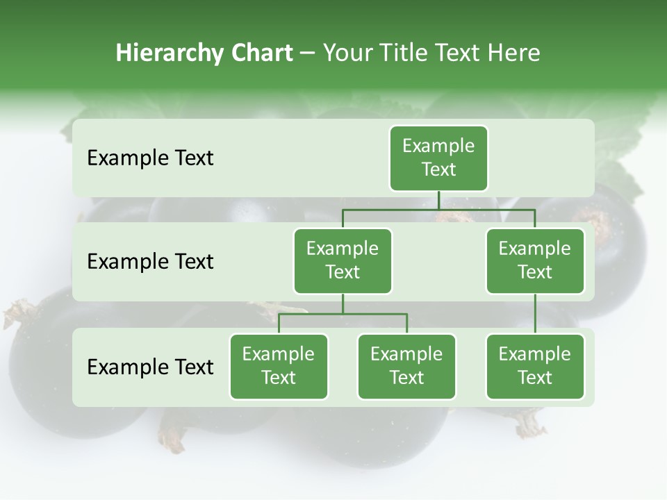 White Berry Food PowerPoint Template