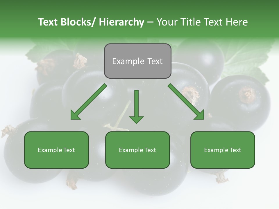 White Berry Food PowerPoint Template