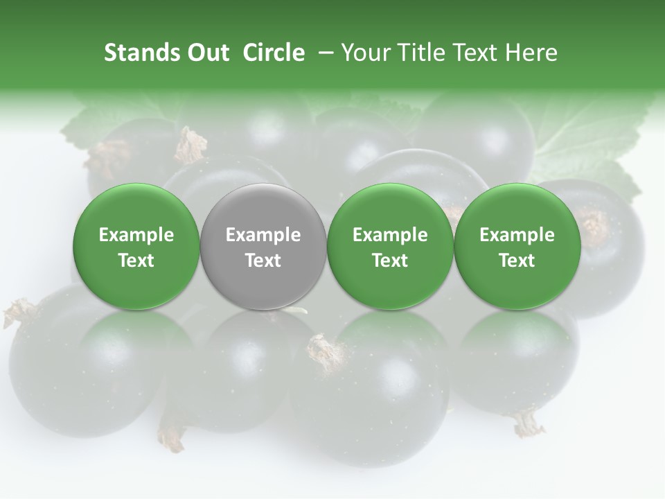 White Berry Food PowerPoint Template