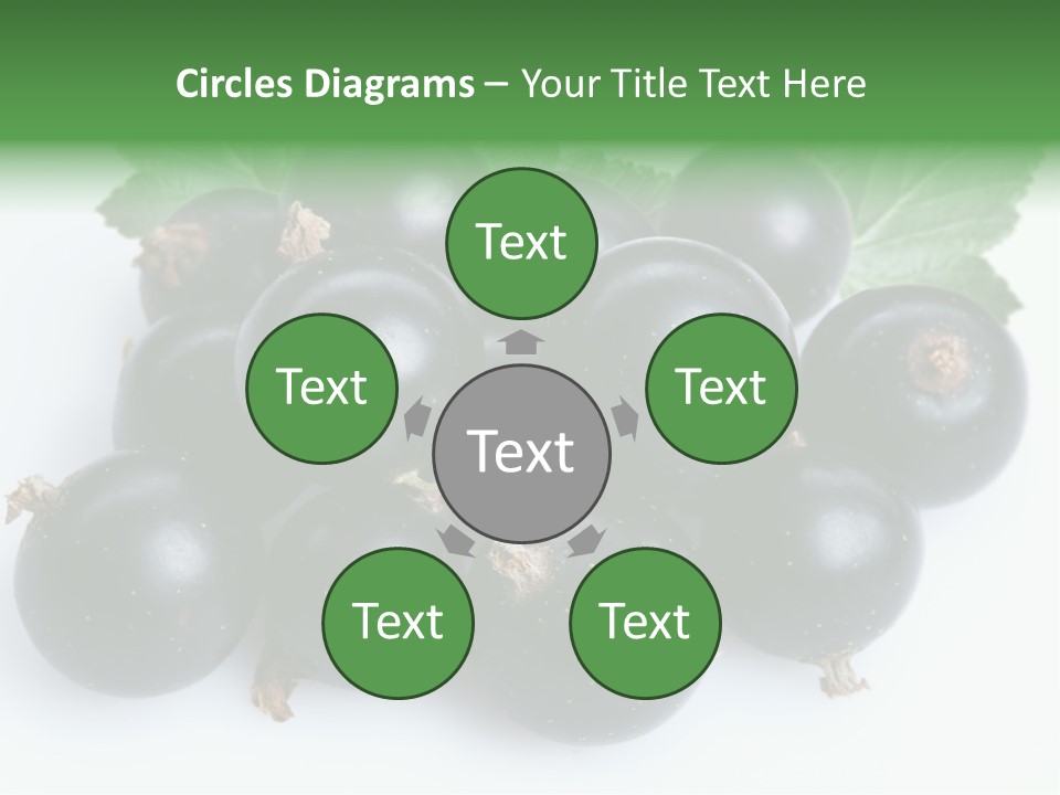 White Berry Food PowerPoint Template