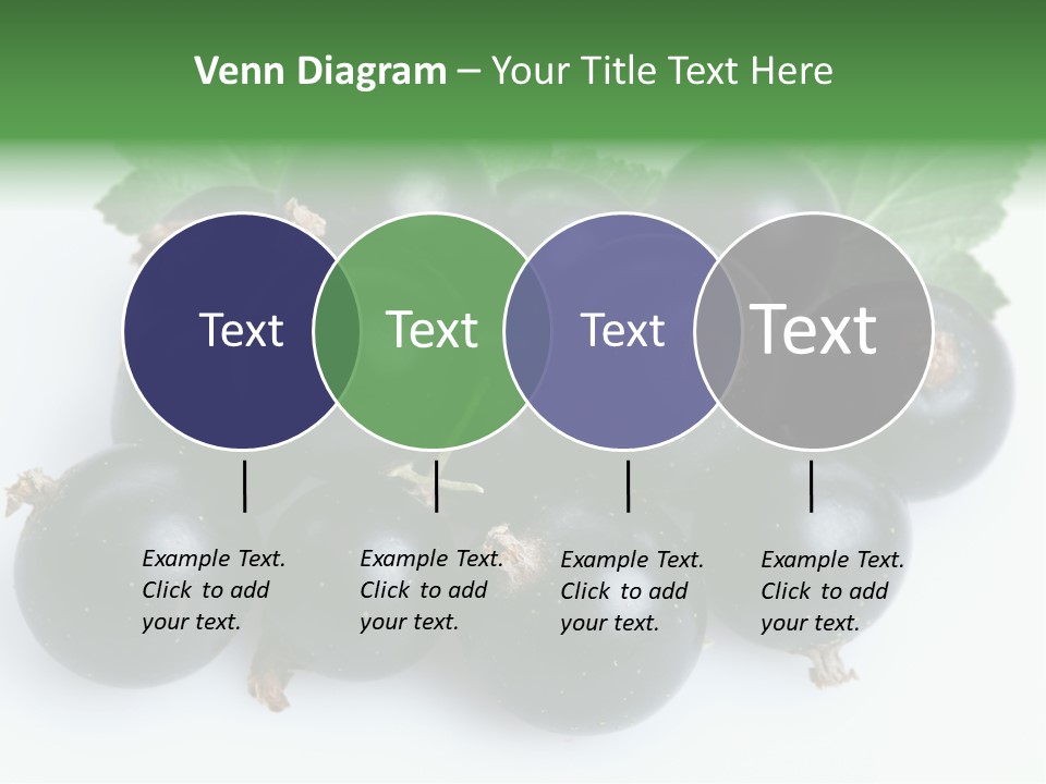 White Berry Food PowerPoint Template