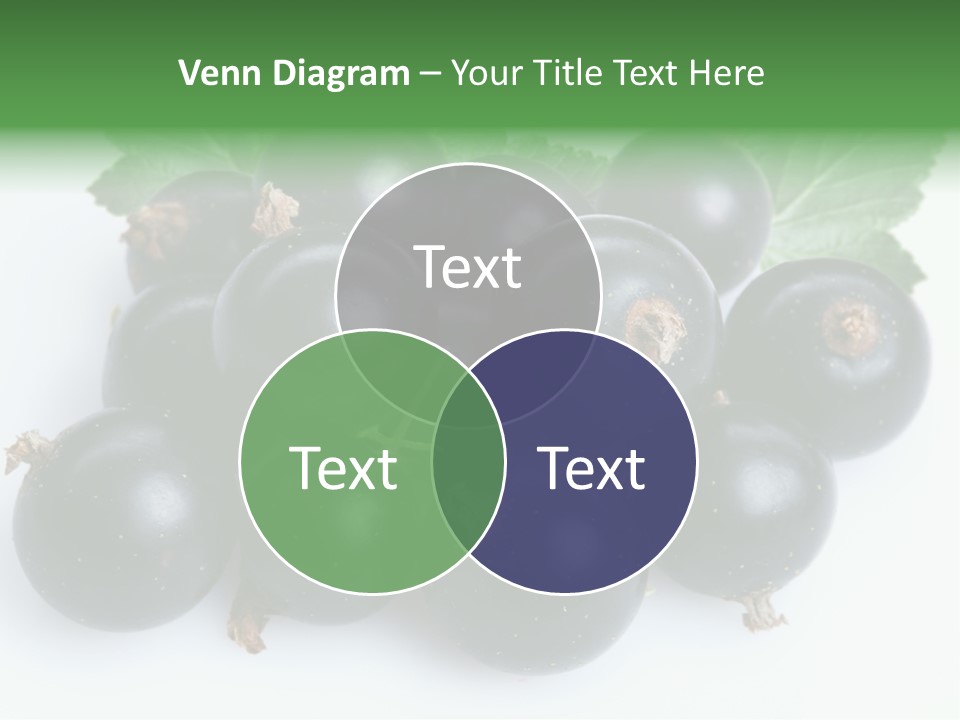 White Berry Food PowerPoint Template