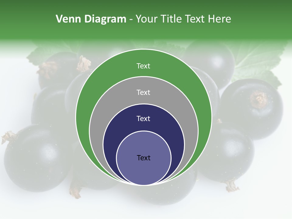 White Berry Food PowerPoint Template