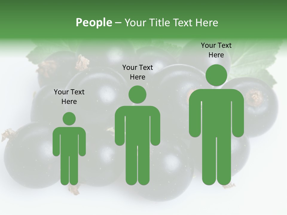 White Berry Food PowerPoint Template