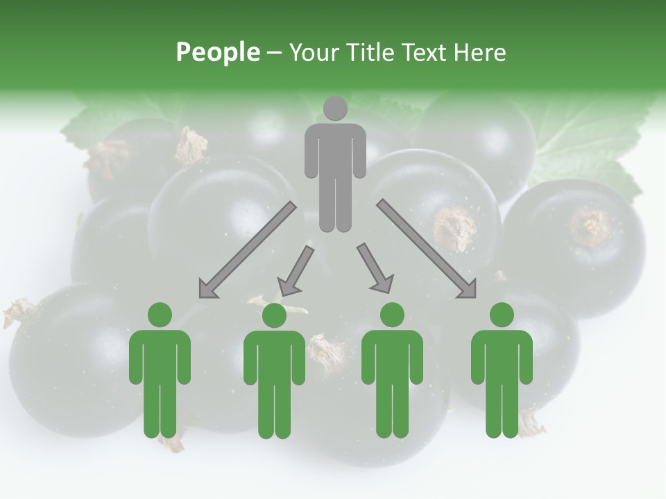 White Berry Food PowerPoint Template