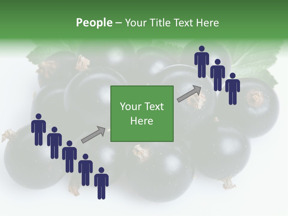 White Berry Food PowerPoint Template