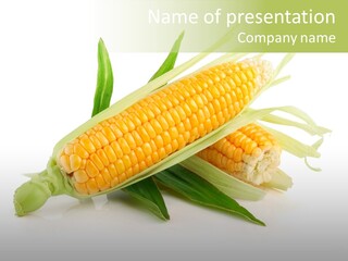 Background Fruit White PowerPoint Template