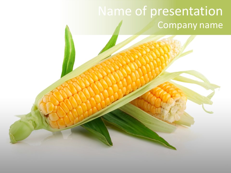 Background Fruit White PowerPoint Template