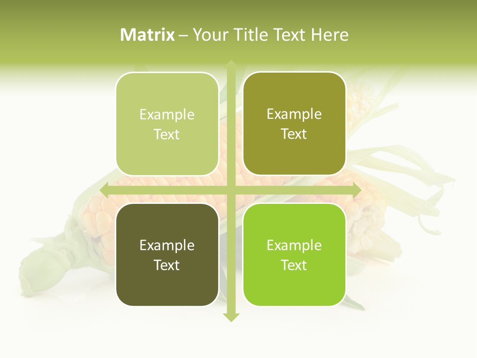 Background Fruit White PowerPoint Template