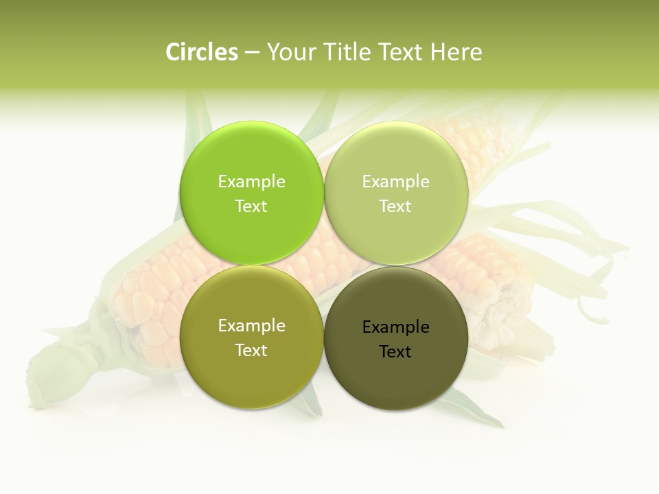 Background Fruit White PowerPoint Template