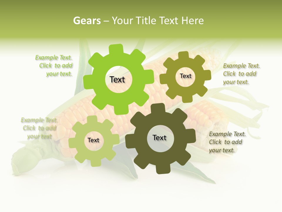 Background Fruit White PowerPoint Template