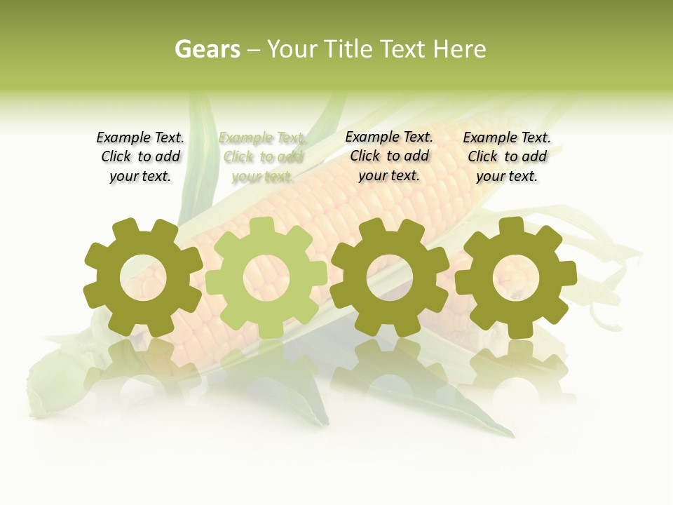 Background Fruit White PowerPoint Template