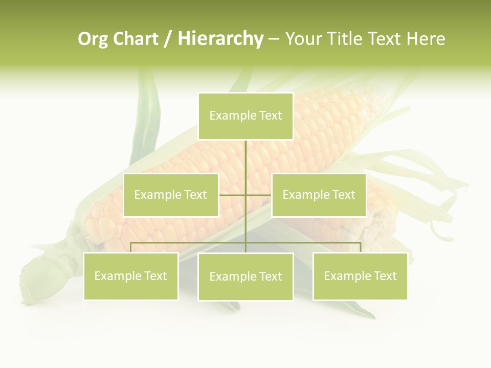 Background Fruit White PowerPoint Template