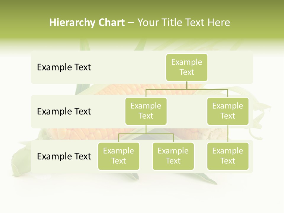 Background Fruit White PowerPoint Template