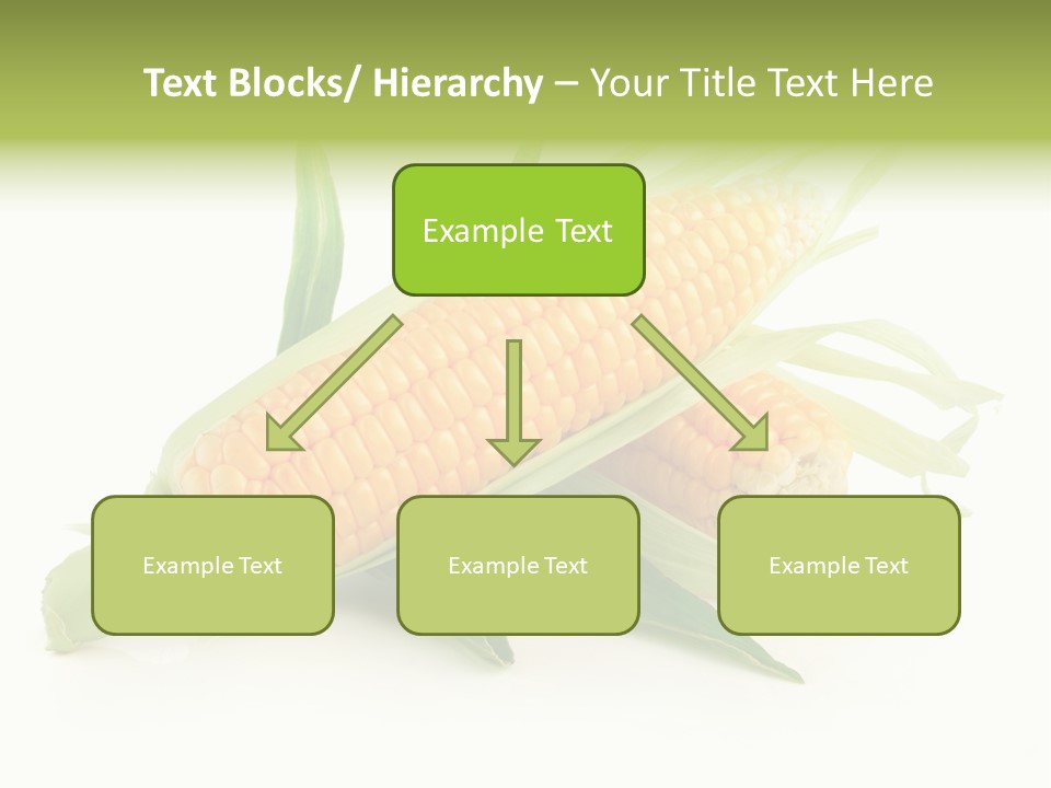Background Fruit White PowerPoint Template