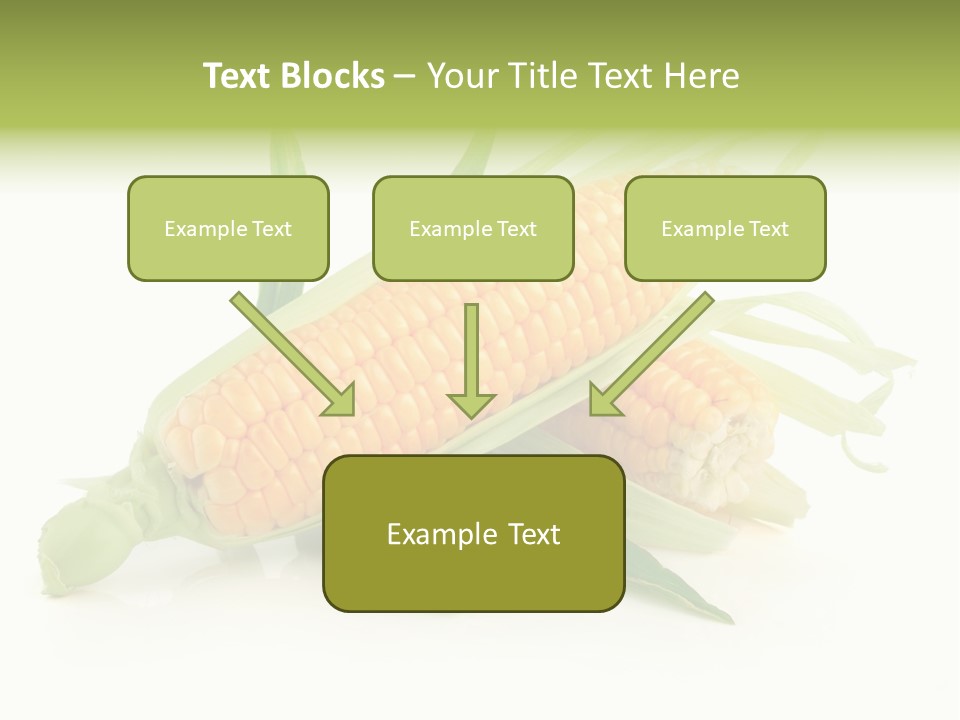 Background Fruit White PowerPoint Template