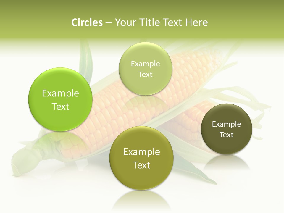 Background Fruit White PowerPoint Template