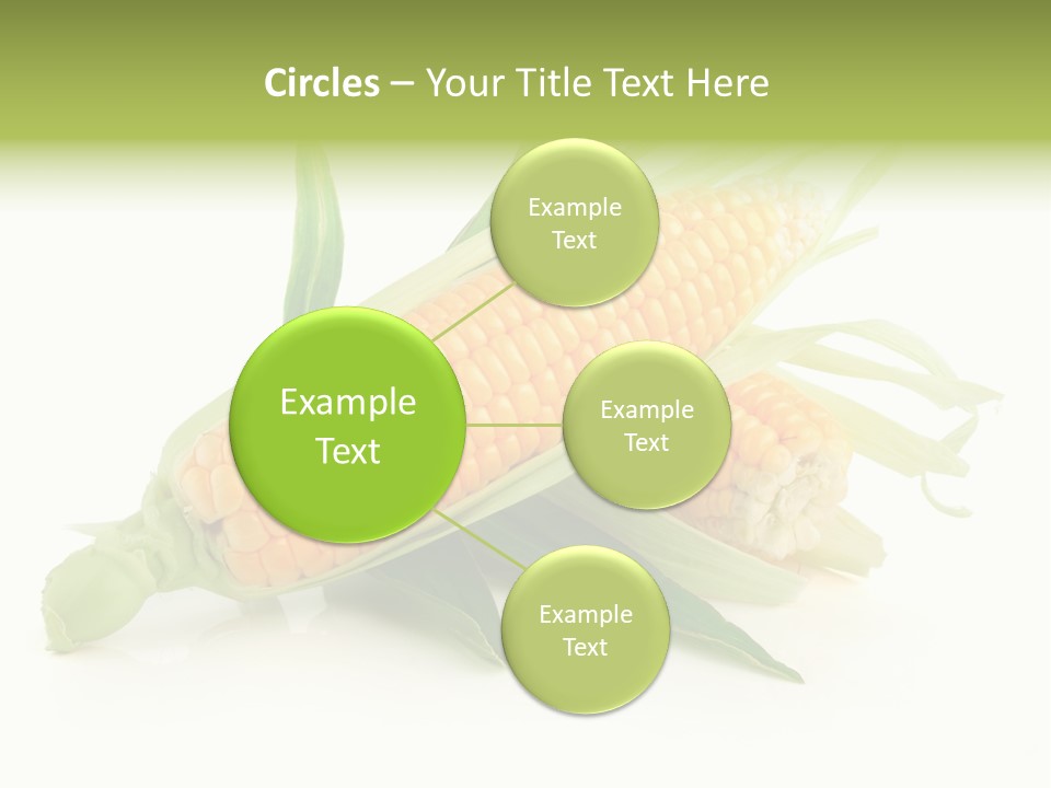 Background Fruit White PowerPoint Template