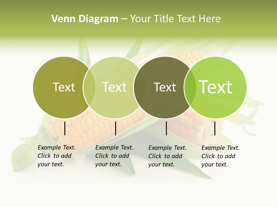 Background Fruit White PowerPoint Template