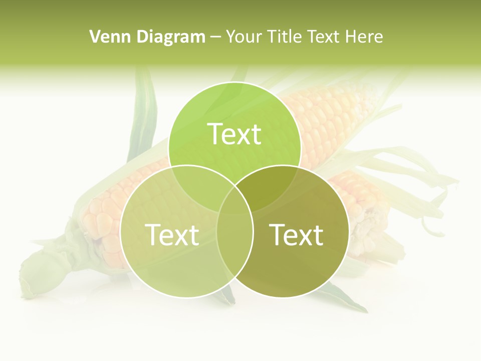 Background Fruit White PowerPoint Template