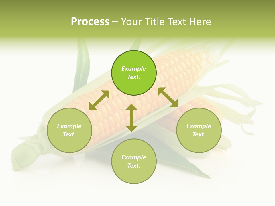 Background Fruit White PowerPoint Template