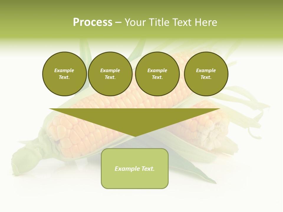 Background Fruit White PowerPoint Template