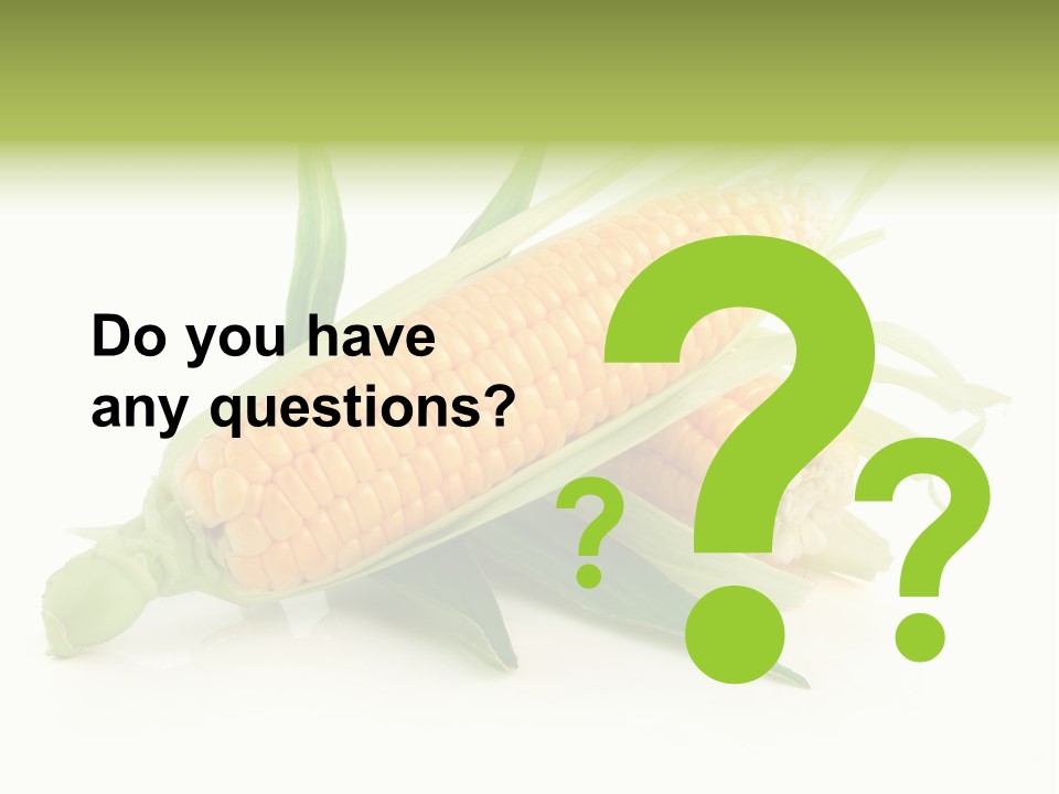 Background Fruit White PowerPoint Template