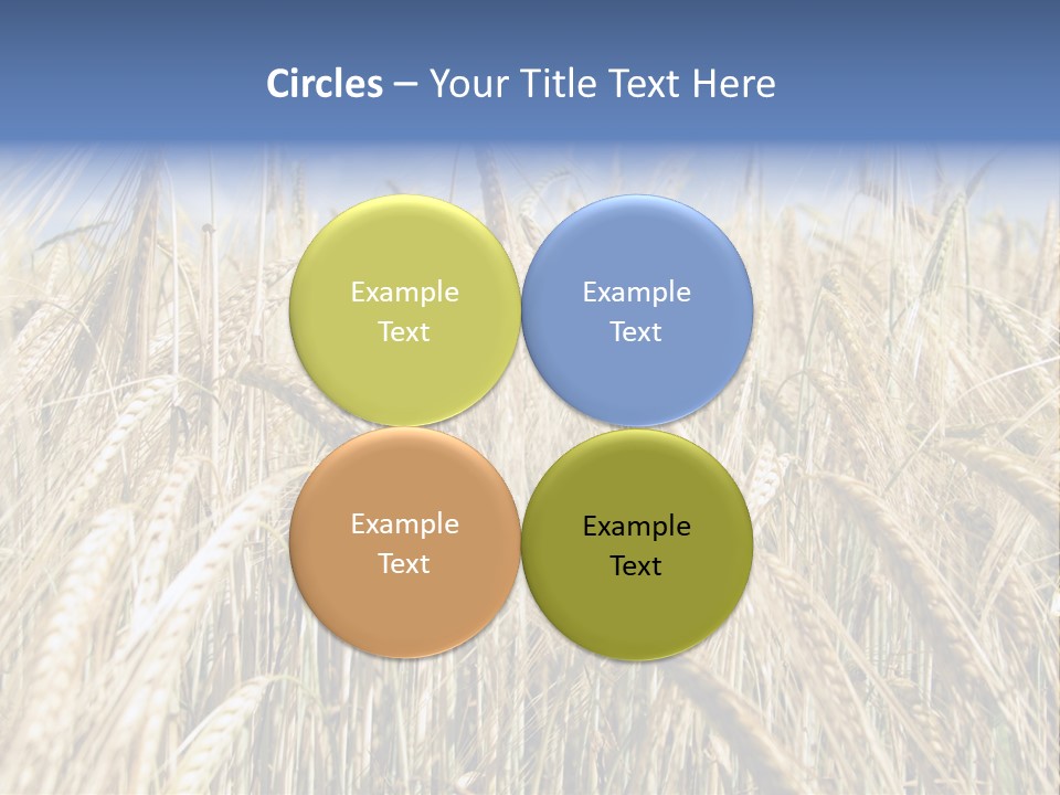 Kernel Peasant Pure PowerPoint Template
